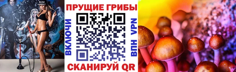 Галлюциногенные грибы Cubensis  Гвардейск 