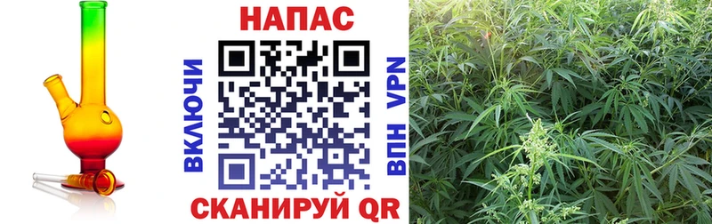 Шишки марихуана White Widow  МЕГА рабочий сайт  Гвардейск 